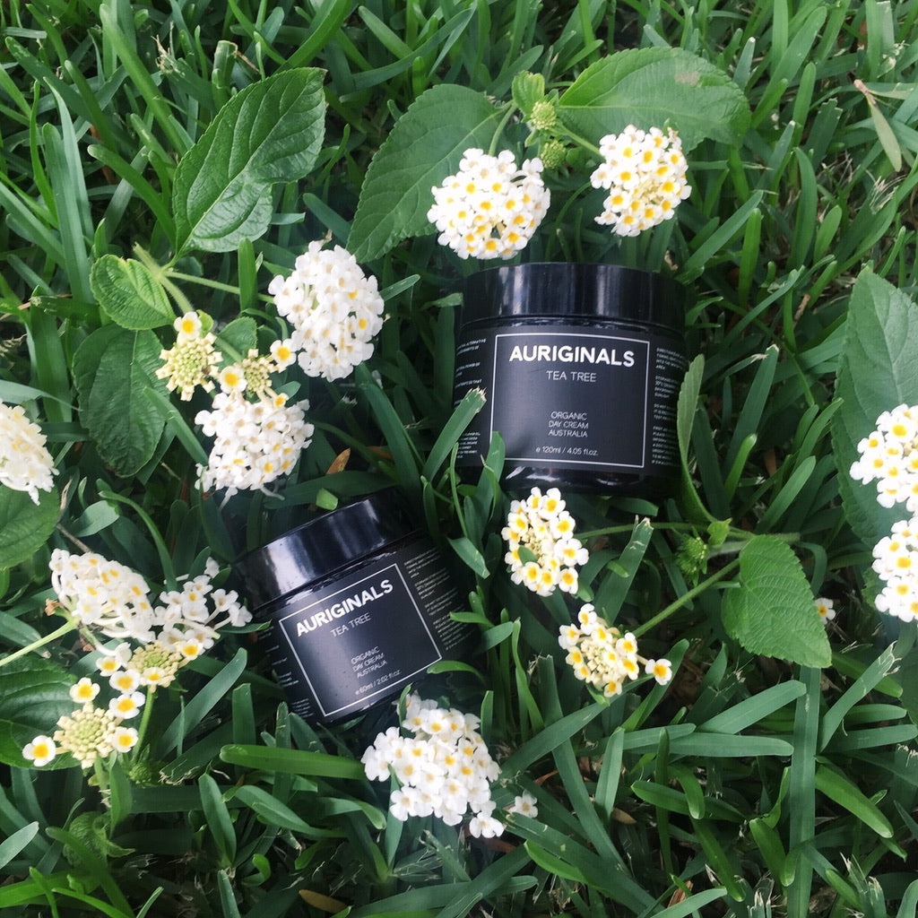 Organic Tea Tree Day Cream