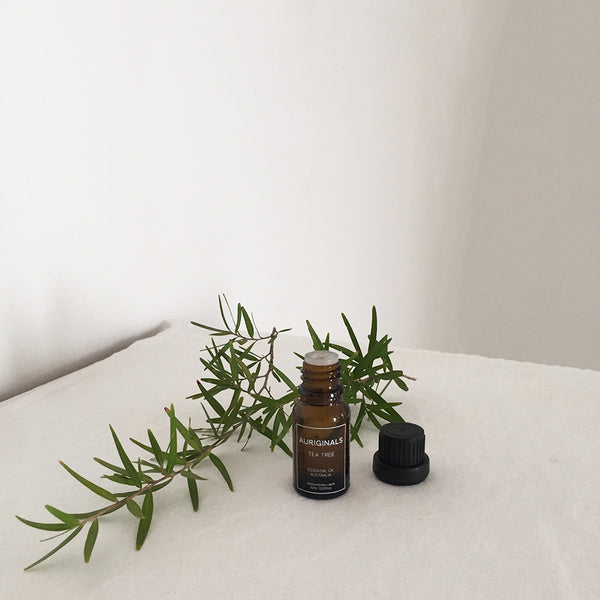 Organic Tea Tree Essential Oil